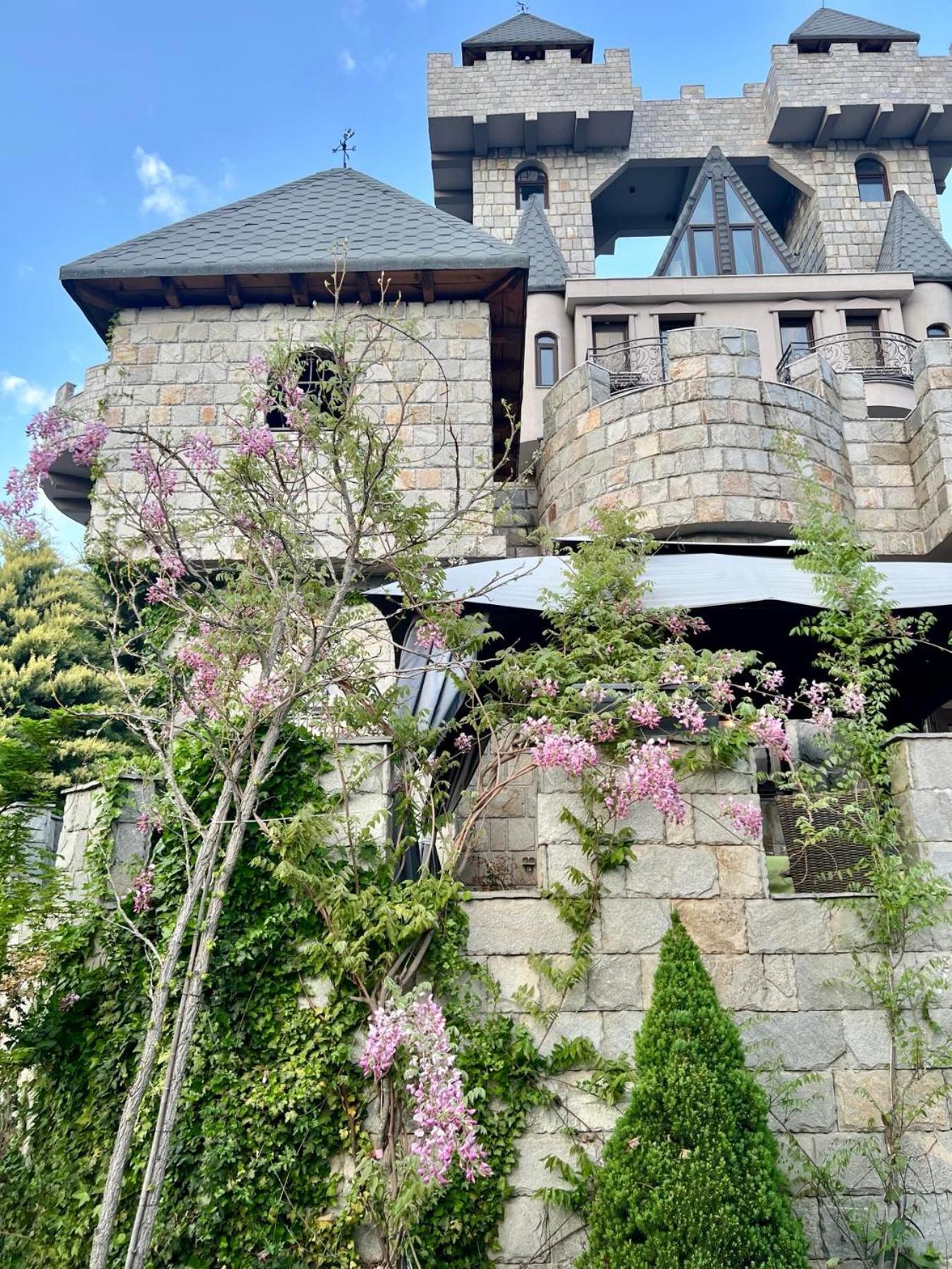 Bed and Breakfast Royal Valentina Castle Ognyanovo  Esterno foto