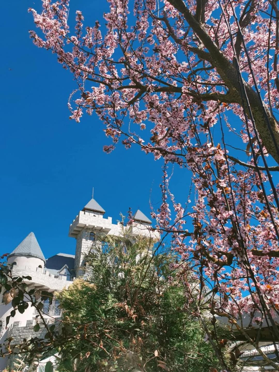 Bed and Breakfast Royal Valentina Castle Ognyanovo  Esterno foto